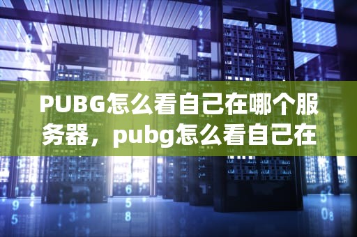 PUBG怎么看自己在哪个服务器，pubg怎么看自己在哪个服务器2021