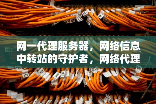网一代理服务器，网络信息中转站的守护者，网络代理服务器