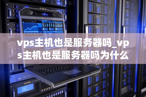 vps主机也是服务器吗_vps主机也是服务器吗为什么_VPS主机与服务器：深入理解