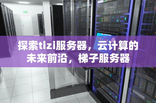 探索tizi服务器，云计算的未来前沿，梯子服务器