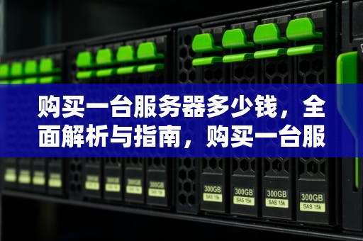 购买一台服务器多少钱，全面解析与指南，购买一台服务器多少钱啊