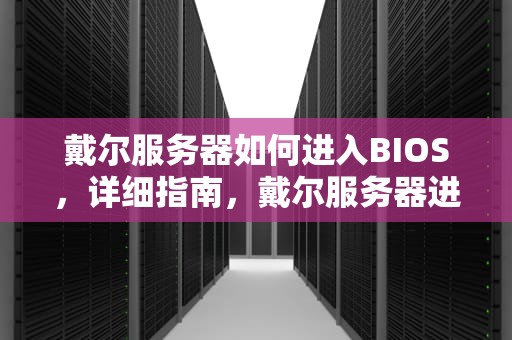 戴尔服务器如何进入BIOS，详细指南，戴尔服务器进bios按什么键