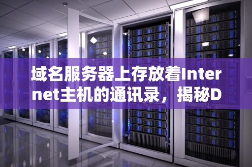 域名服务器上存放着Internet主机的通讯录，揭秘DNS的重要性，域名服务器上存放着internet主机的什么