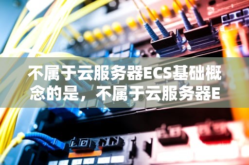 不属于云服务器ECS基础概念的是，不属于云服务器ECS基础概念的是