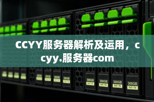CCYY服务器解析及运用，ccyy.服务器com