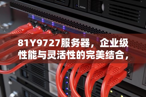 81Y9727服务器，企业级性能与灵活性的完美结合，服务器8871