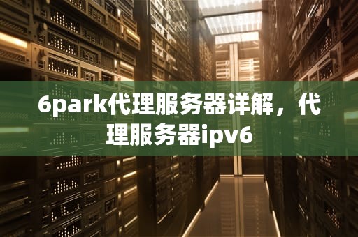 6park代理服务器详解，代理服务器ipv6