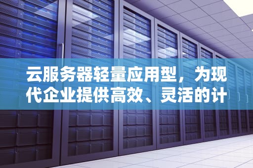 云服务器轻量应用型，为现代企业提供高效、灵活的计算解决方案，云服务器轻量应用型和经济型哪个好