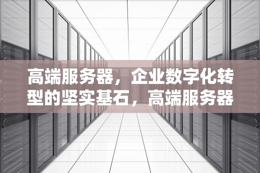 高端服务器，企业数字化转型的坚实基石，高端服务器租赁