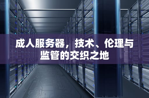 成人服务器，技术、伦理与监管的交织之地