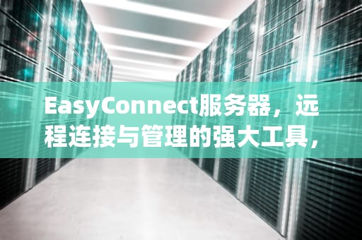 EasyConnect服务器，远程连接与管理的强大工具，EasyConnect服务器地址输什么