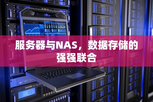 服务器与NAS，数据存储的强强联合