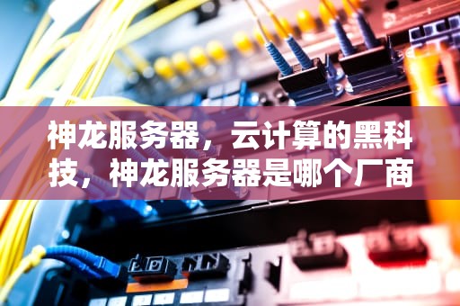 神龙服务器，云计算的黑科技，神龙服务器是哪个厂商的