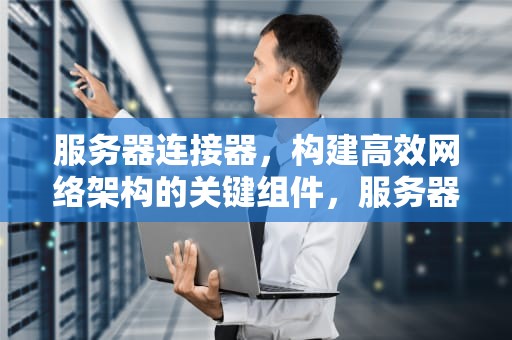 服务器连接器，构建高效网络架构的关键组件，服务器连接器概念股
