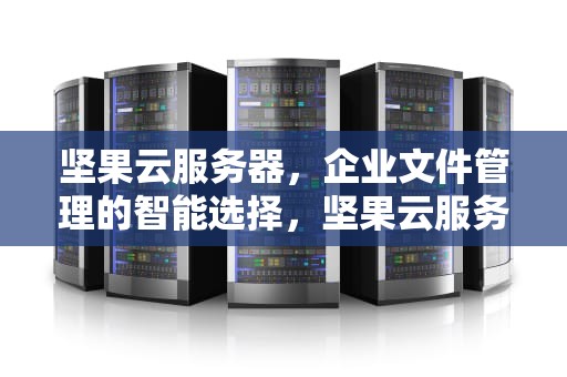 坚果云服务器，企业文件管理的智能选择，坚果云服务器地址怎么填