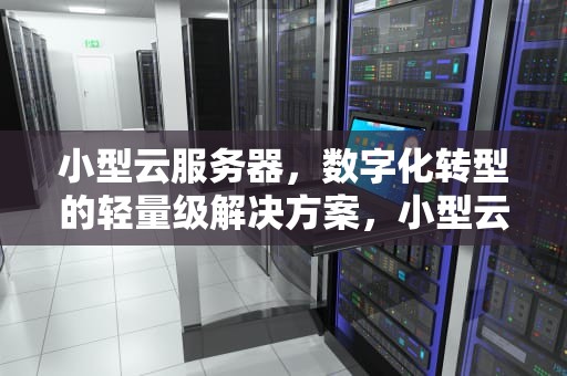 小型云服务器，数字化转型的轻量级解决方案，小型云服务器商家