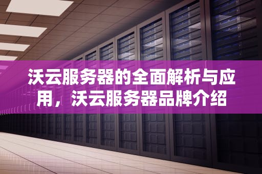 沃云服务器的全面解析与应用，沃云服务器品牌介绍