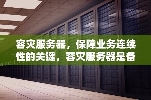 容灾服务器，保障业务连续性的关键，容灾服务器是备份服务器吗