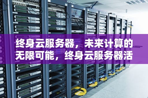终身云服务器，未来计算的无限可能，终身云服务器活动