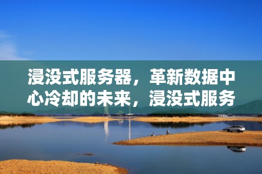 浸没式服务器，革新数据中心冷却的未来，浸没式服务器机柜