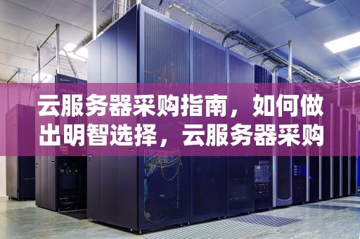 云服务器采购指南，如何做出明智选择，云服务器采购合同