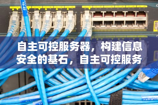 自主可控服务器，构建信息安全的基石，自主可控服务器名单
