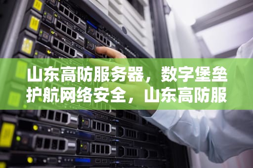 山东高防服务器，数字堡垒护航网络安全，山东高防服务器吧