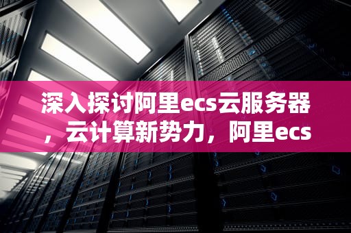 深入探讨阿里ecs云服务器，云计算新势力，阿里ecs云服务器带宽选择