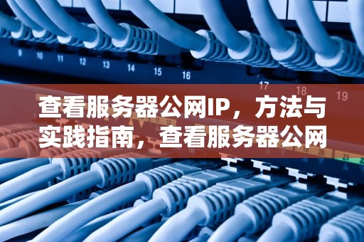 查看服务器公网IP，方法与实践指南，查看服务器公网地址