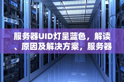 服务器UID灯呈蓝色，解读、原因及解决方案，服务器uid灯蓝色闪烁