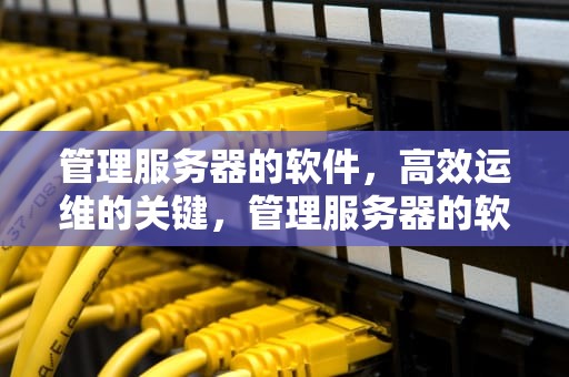 管理服务器的软件，高效运维的关键，管理服务器的软件有哪些