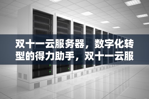 双十一云服务器，数字化转型的得力助手，双十一云服务器活动