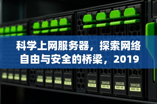 科学上网服务器，探索网络自由与安全的桥梁，2019 科学 上网 vps