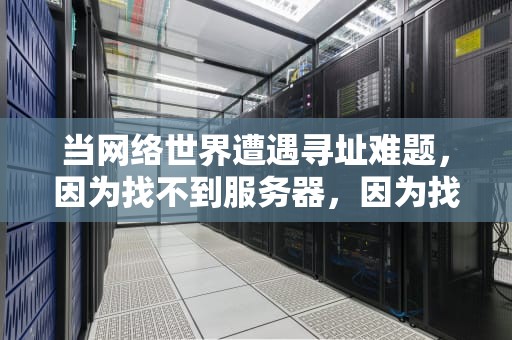 当网络世界遭遇寻址难题，因为找不到服务器，因为找不到服务器是什么意思