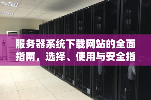 服务器系统下载网站的全面指南，选择、使用与安全指南，服务器下载安装下