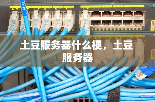 土豆服务器什么梗，土豆 服务器