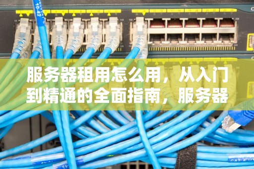 服务器租用怎么用，从入门到精通的全面指南，服务器租用怎么用的