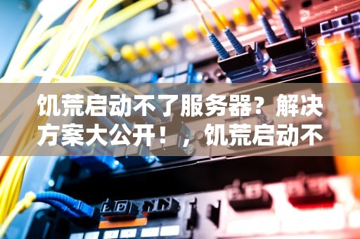 饥荒启动不了服务器？解决方案大公开！，饥荒启动不了服务器怎么办