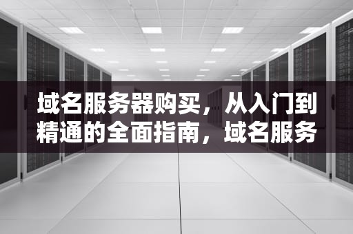 域名服务器购买，从入门到精通的全面指南，域名服务器购买在哪里