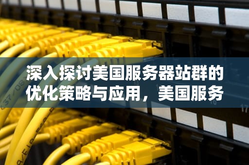 深入探讨美国服务器站群的优化策略与应用，美国服务器站群低价