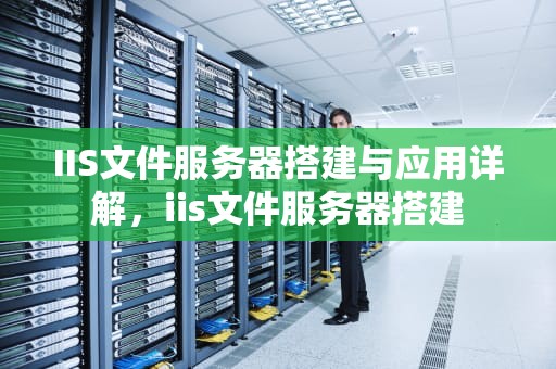 IIS文件服务器搭建与应用详解，iis文件服务器搭建
