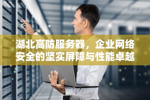 湖北高防服务器，企业网络安全的坚实屏障与性能卓越的IT基石，湖北高防服务器机房