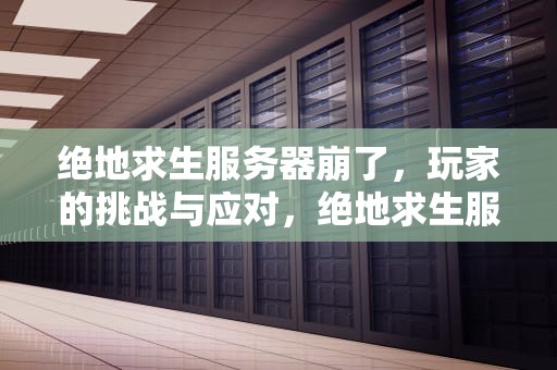 绝地求生服务器崩了，玩家的挑战与应对，绝地求生服务器崩了吗