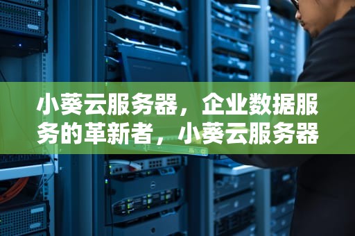 小葵云服务器，企业数据服务的革新者，小葵云服务器安全吗