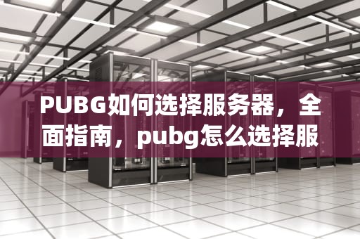 PUBG如何选择服务器，全面指南，pubg怎么选择服务器2023