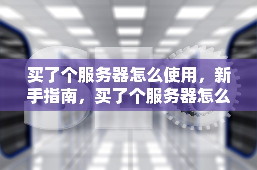 买了个服务器怎么使用，新手指南，买了个服务器怎么使用手机