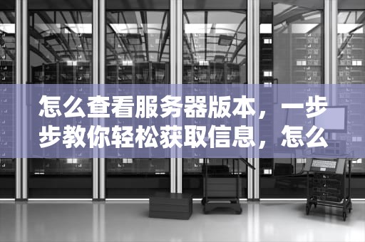 怎么查看服务器版本，一步步教你轻松获取信息，怎么查看服务器版本信息 windows