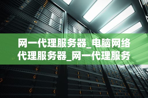 网一代理服务器_电脑网络代理服务器_网一代理服务器的全面解析