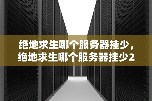 绝地求生哪个服务器挂少，绝地求生哪个服务器挂少2021