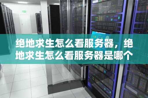 绝地求生怎么看服务器，绝地求生怎么看服务器是哪个